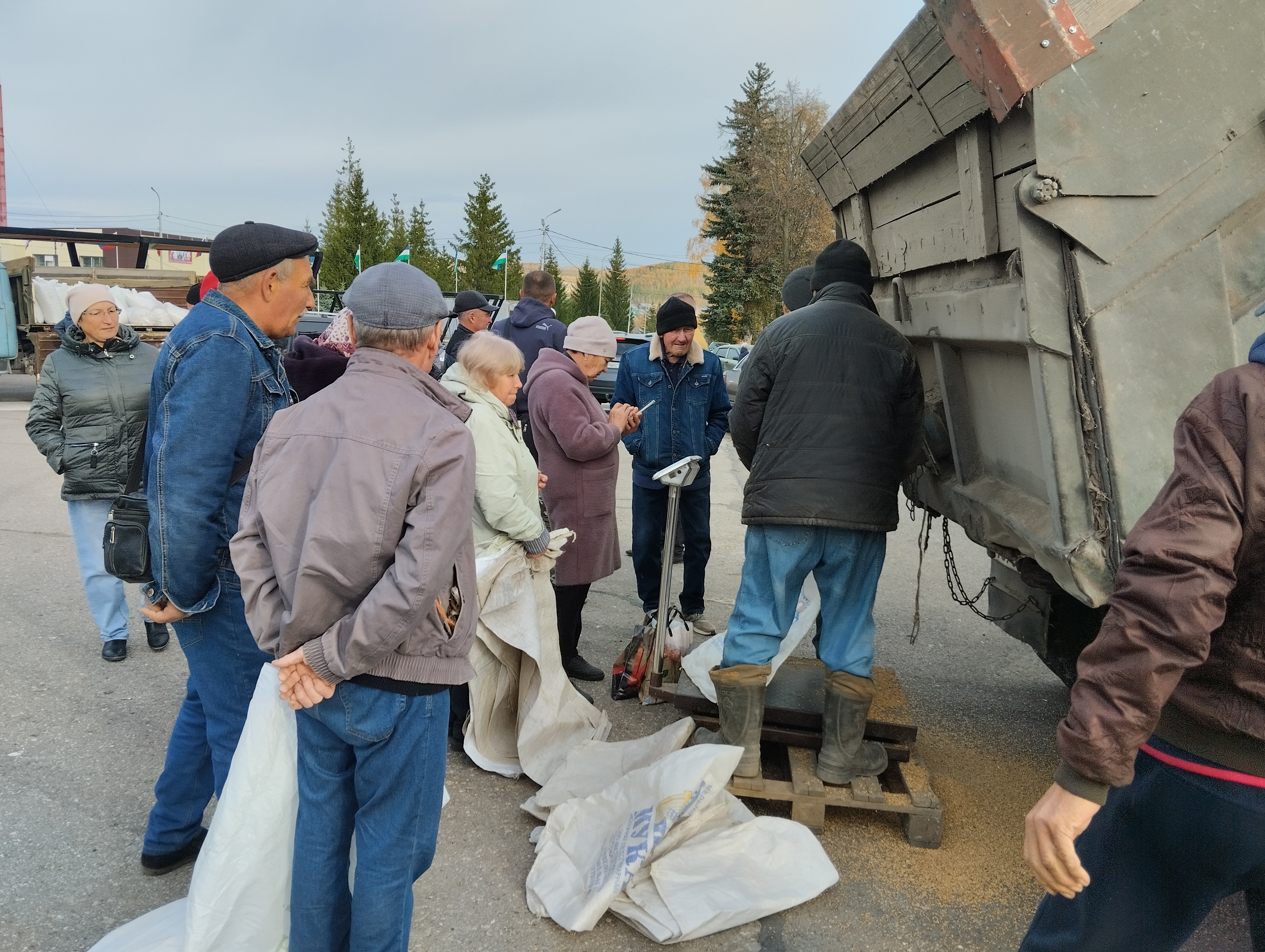 День Республики в Бижбуляке: ярмарка как символ единства