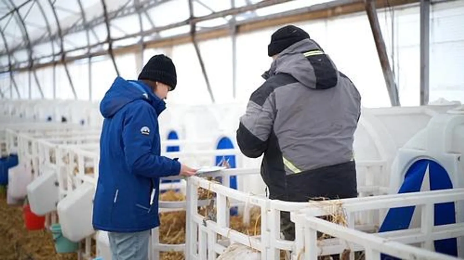 За 6 лет в Башкирии агробизнес получил более 35 млрд рублей льготных кредитов