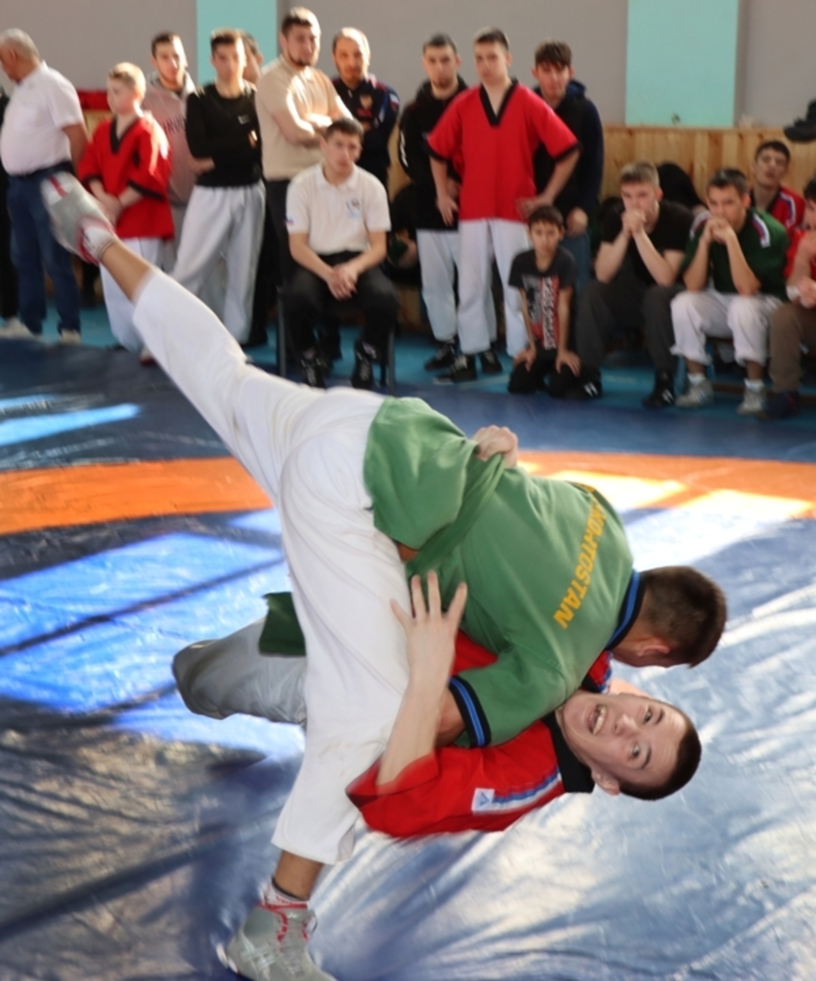 Владимир Путин назвал День самбо национальным достоянием