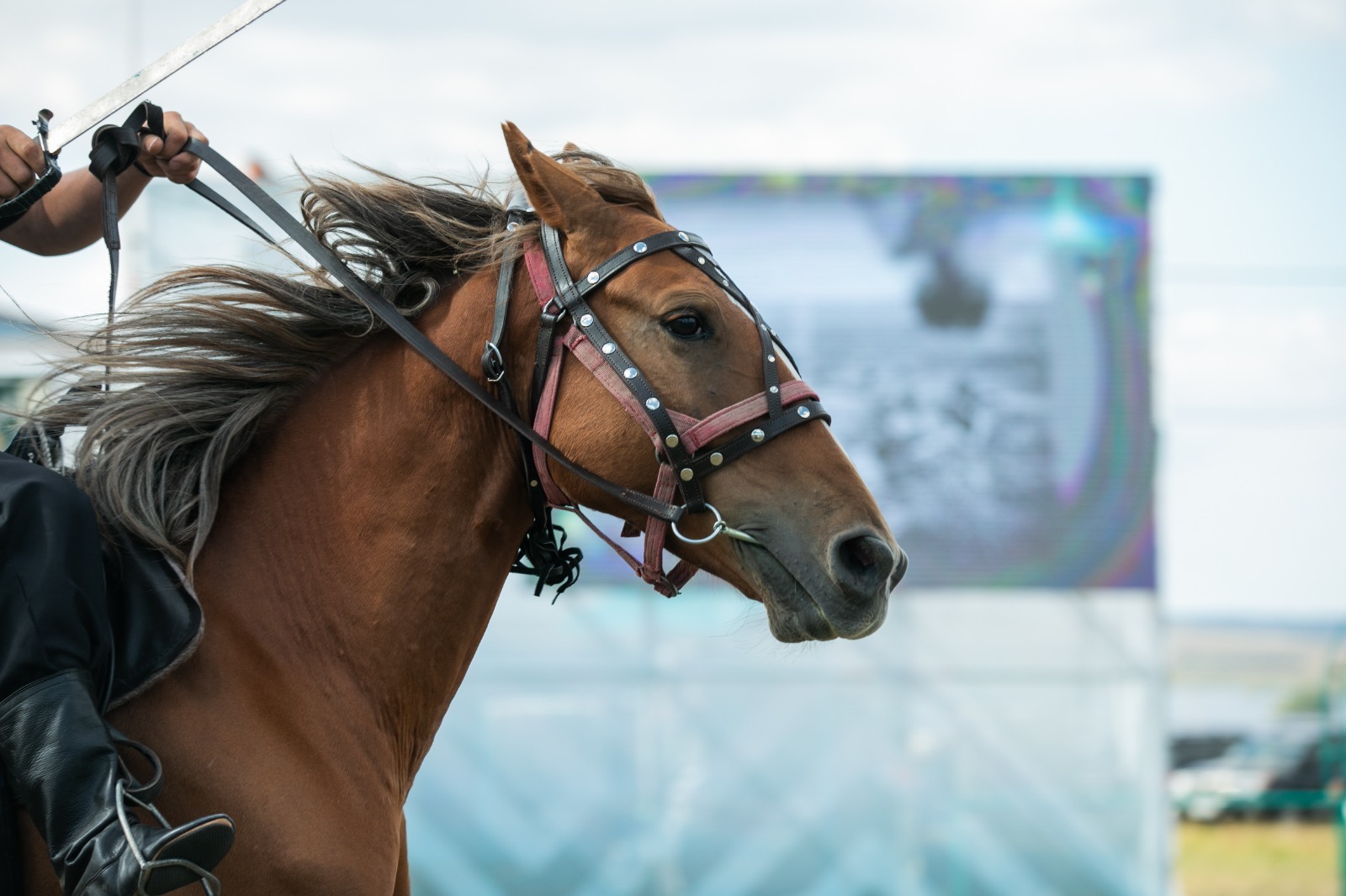 Вспомним самые интересные моменты II международного фестиваля лошадей башкирской породы «Башҡорт аты»