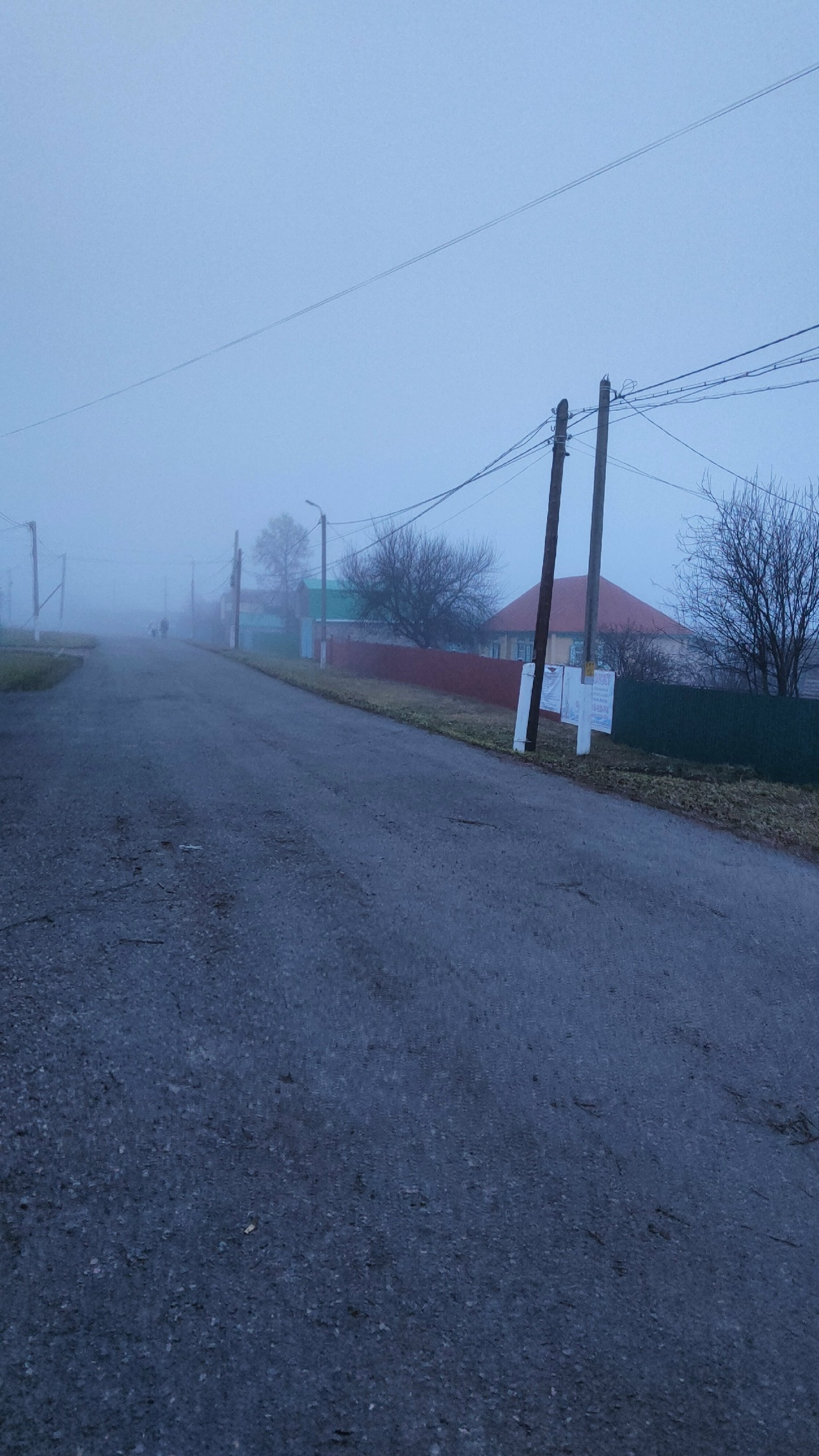 Который день окрестности окутал густой туман