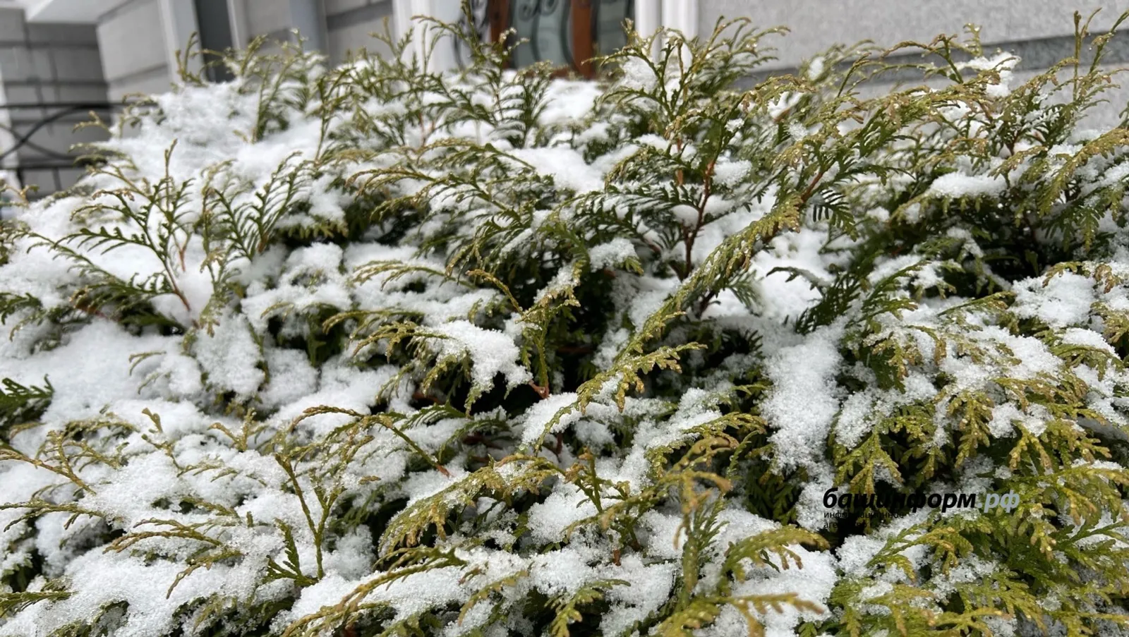 В Башкирии похолодает до -10°