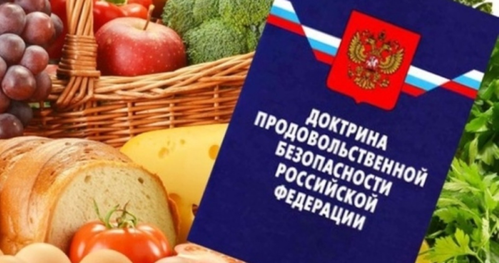 Мишустин: Россия полностью обеспечивает себя зерном, мясом, рыбой и маслом