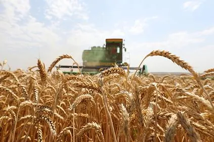 Экспорт семян сельхозкультур из Башкирии увеличился вдвое
