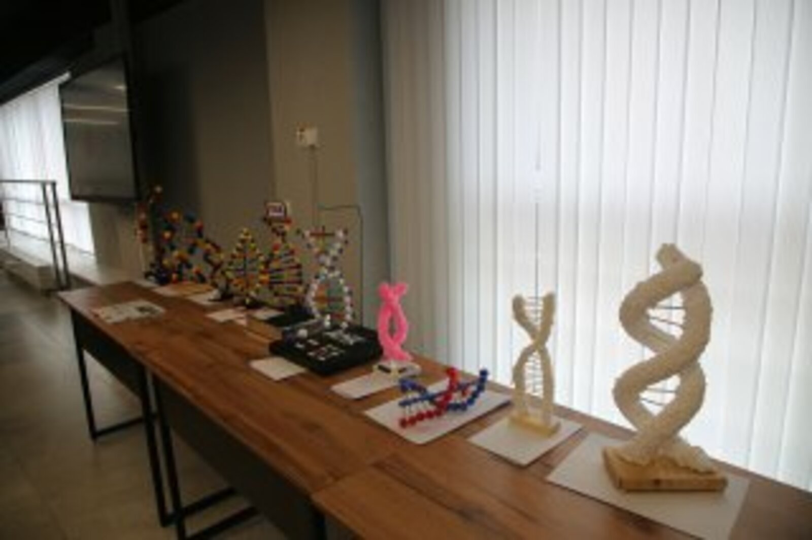 В День ДНК старшеклассникам Башкортостана рассказали о прорывах в генетике