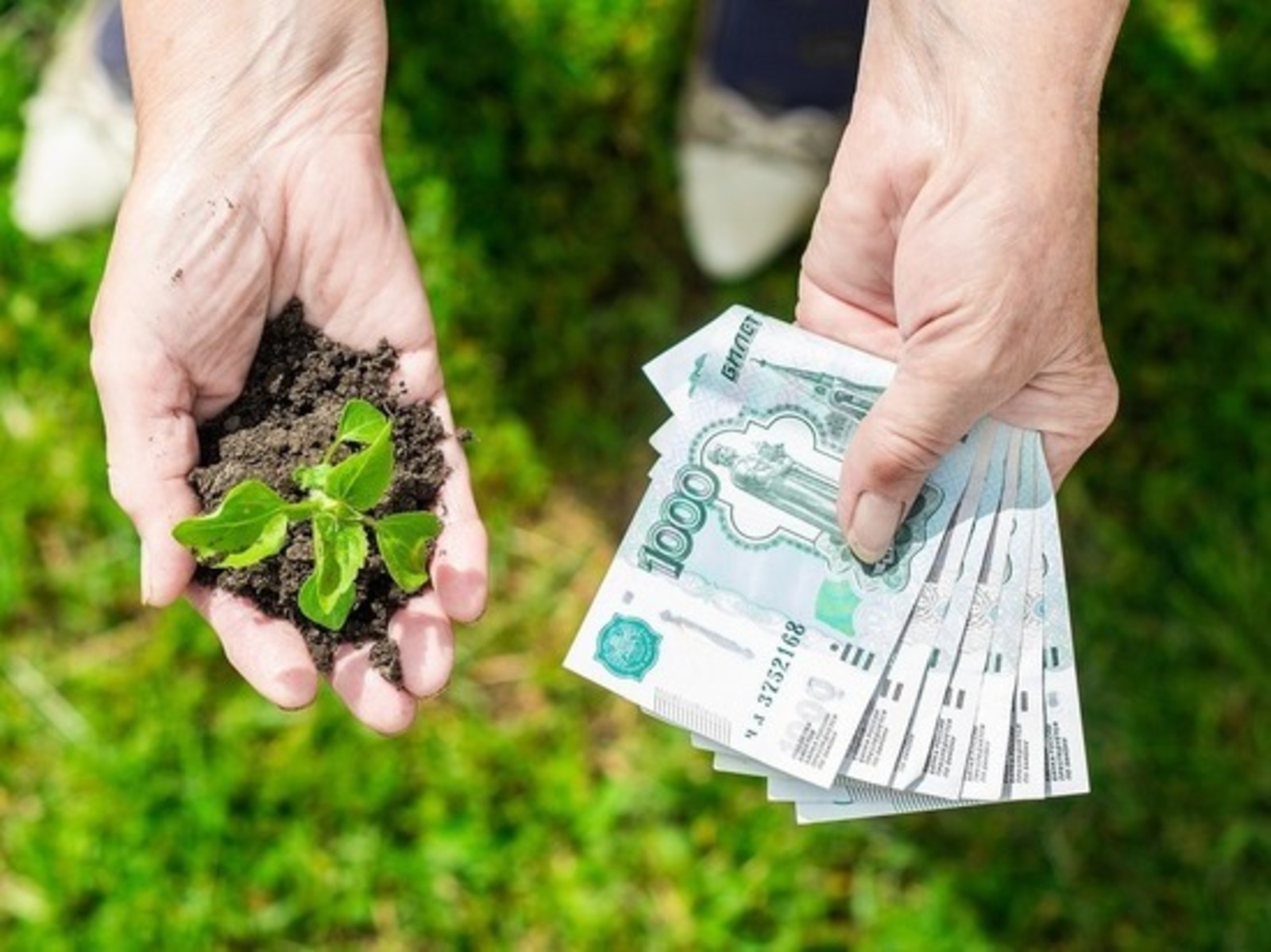 По программе «Агростартап» башкирские фермы получат 125,4 млн. рублей