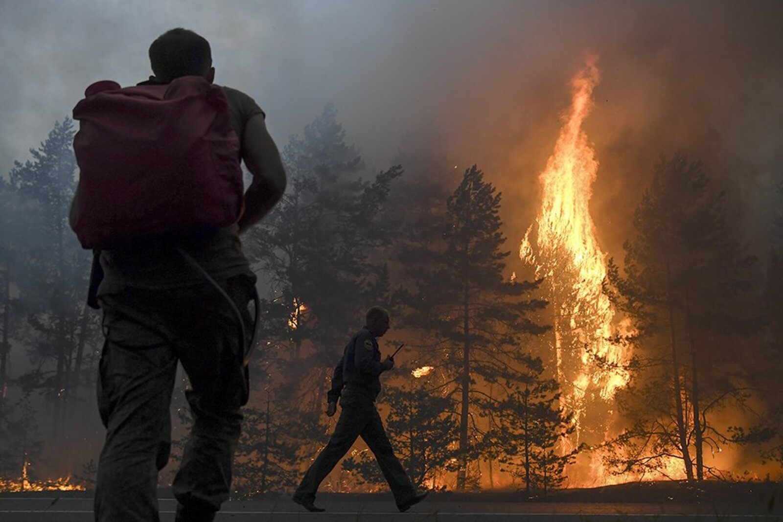 Штрафы за пожары в лесах повышены в десять раз