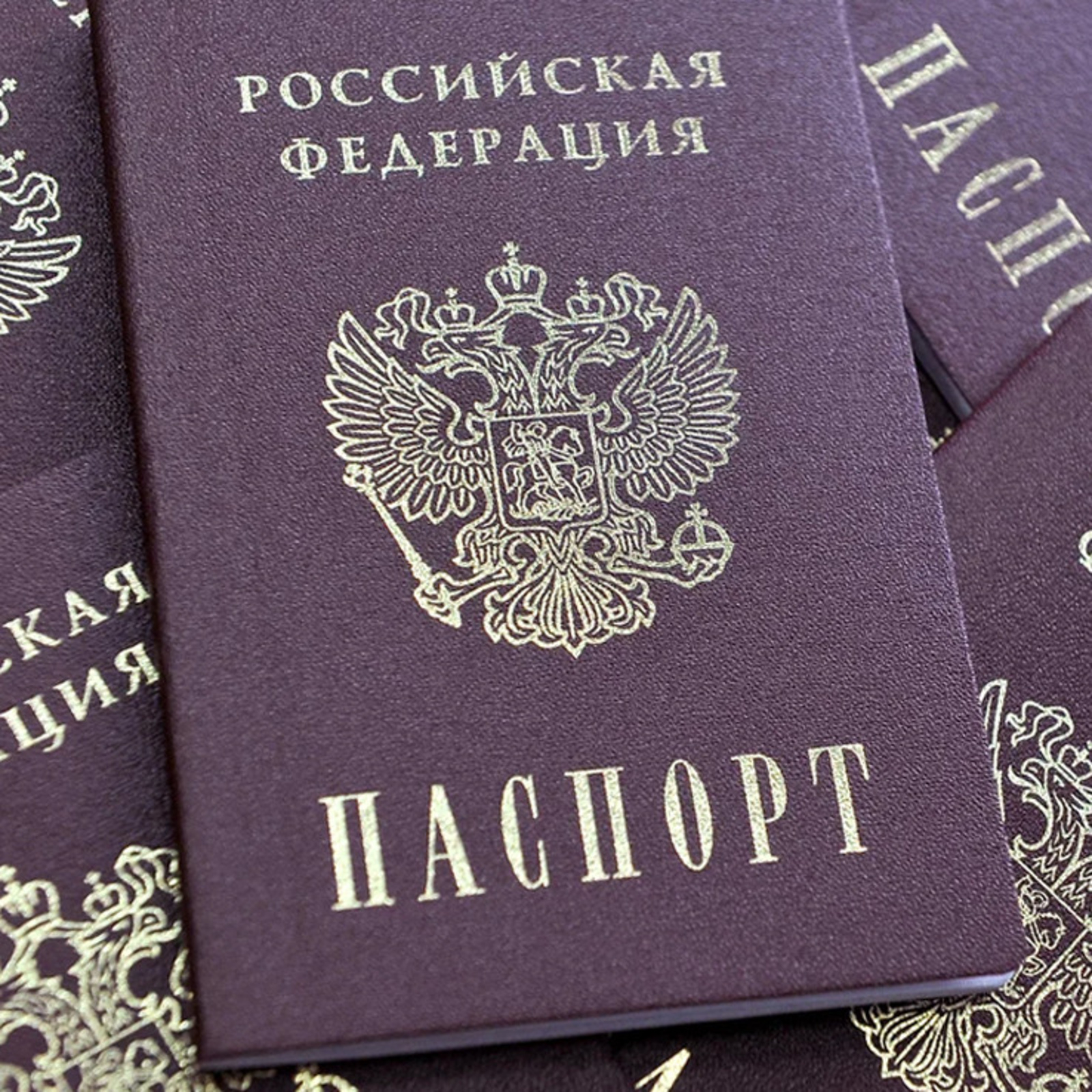 В России сократили срок оформления паспорта гражданина РФ