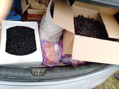 Тыл крепок сердцем