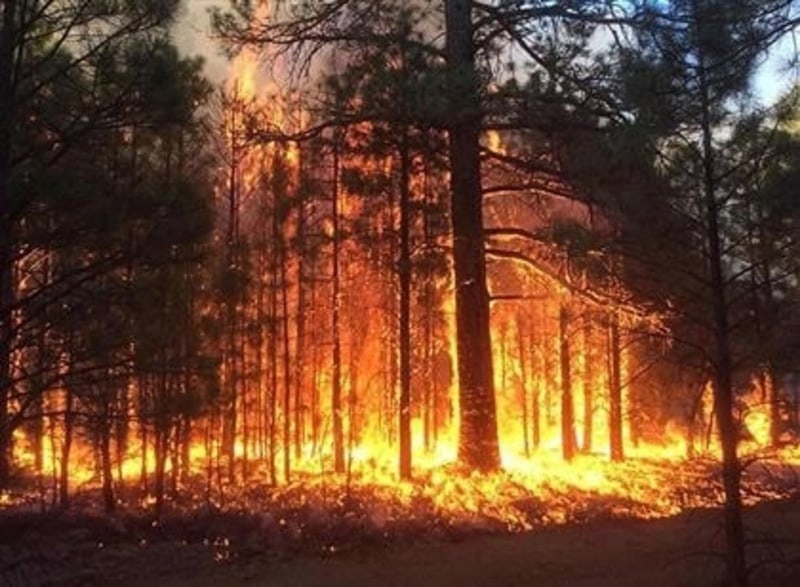 В Башкирии ужесточили наказание за лесные пожары до 500 тысяч