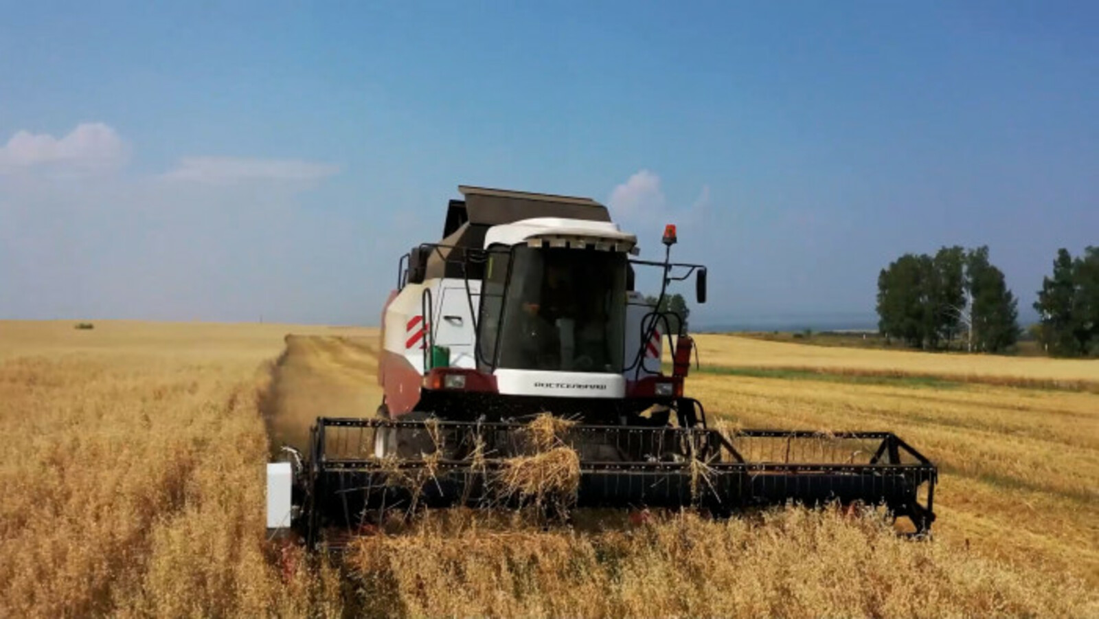 В Башкортостане собрали более 2 млн тонн зерна нового урожая