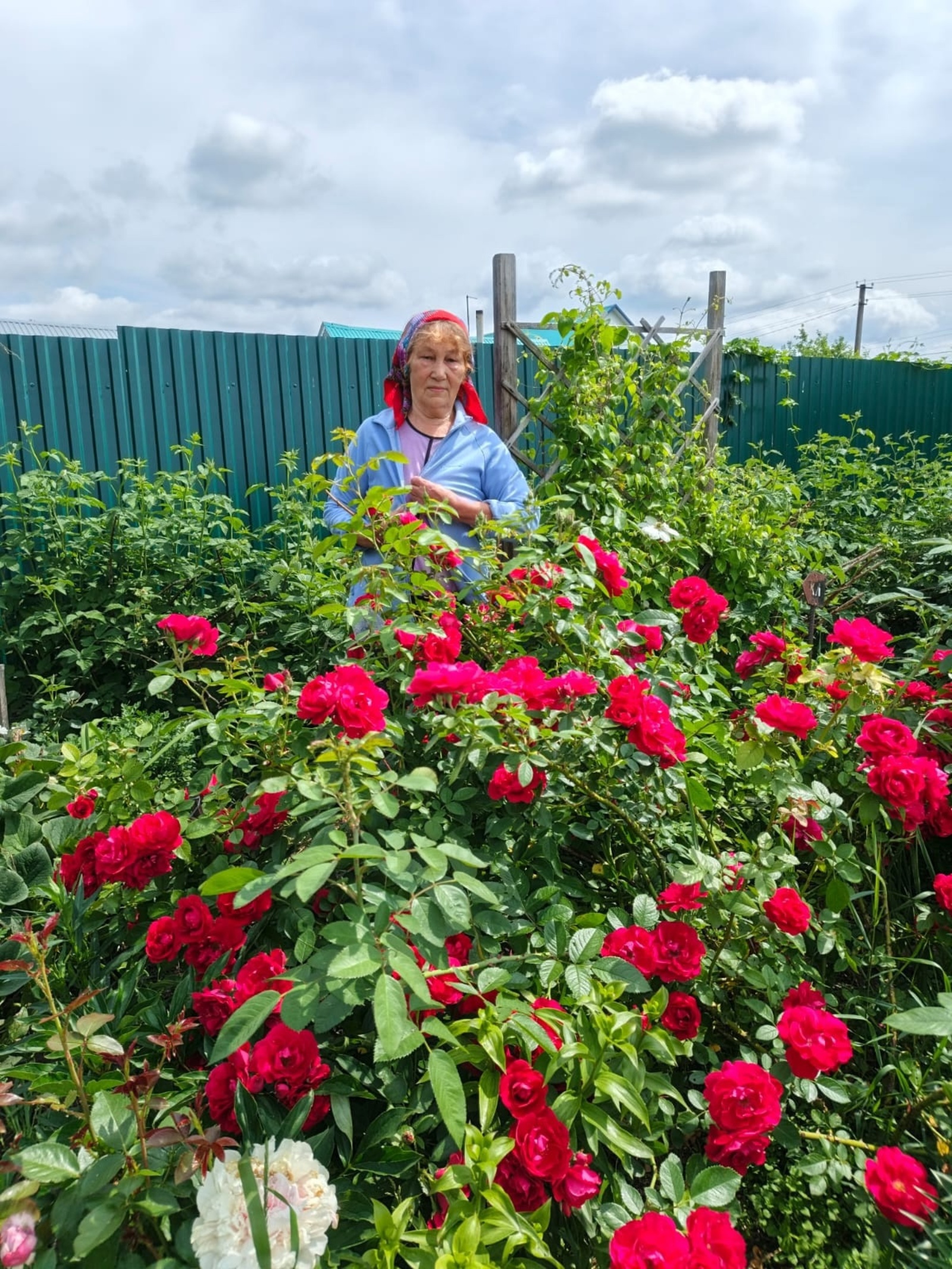 Ее сад – это место вдохновения и душевного покоя