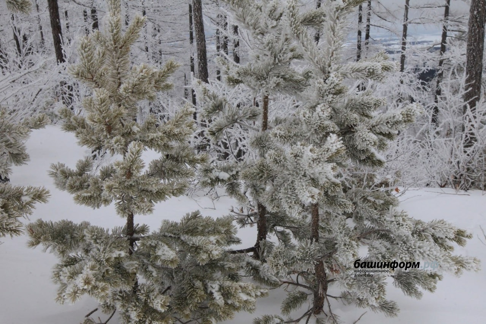 В Башкирии похолодает до -33 градусов