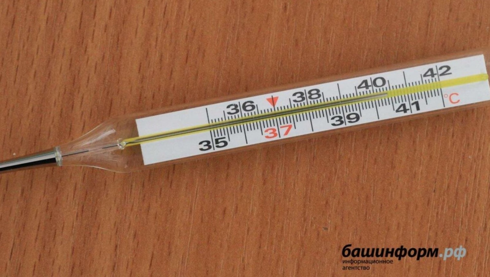 В школах и детсадах Башкирии ввели утренний контроль температуры тела