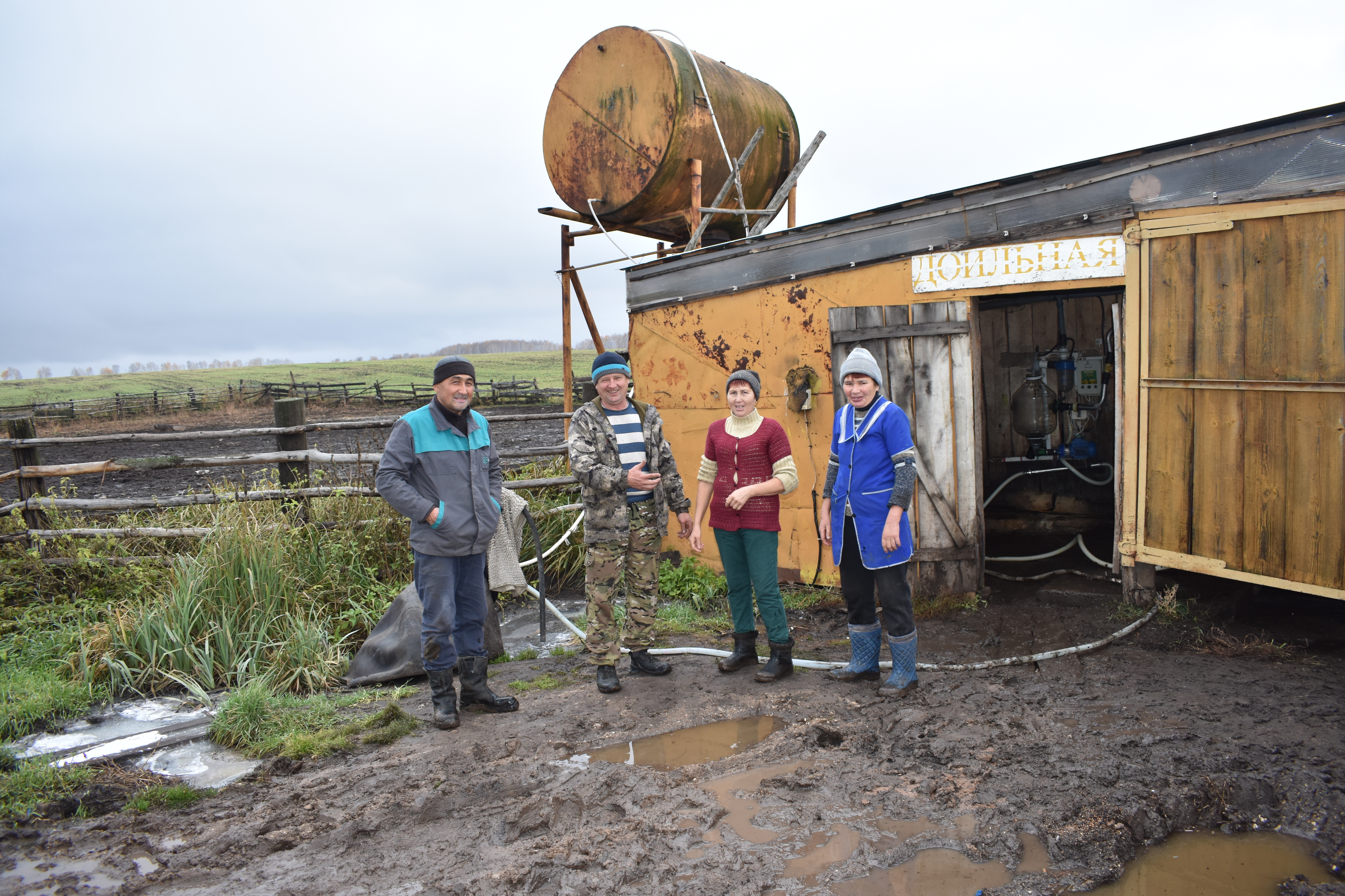 В ООО «Марс» уделяют должное внимание содержанию крупного рогатого скота