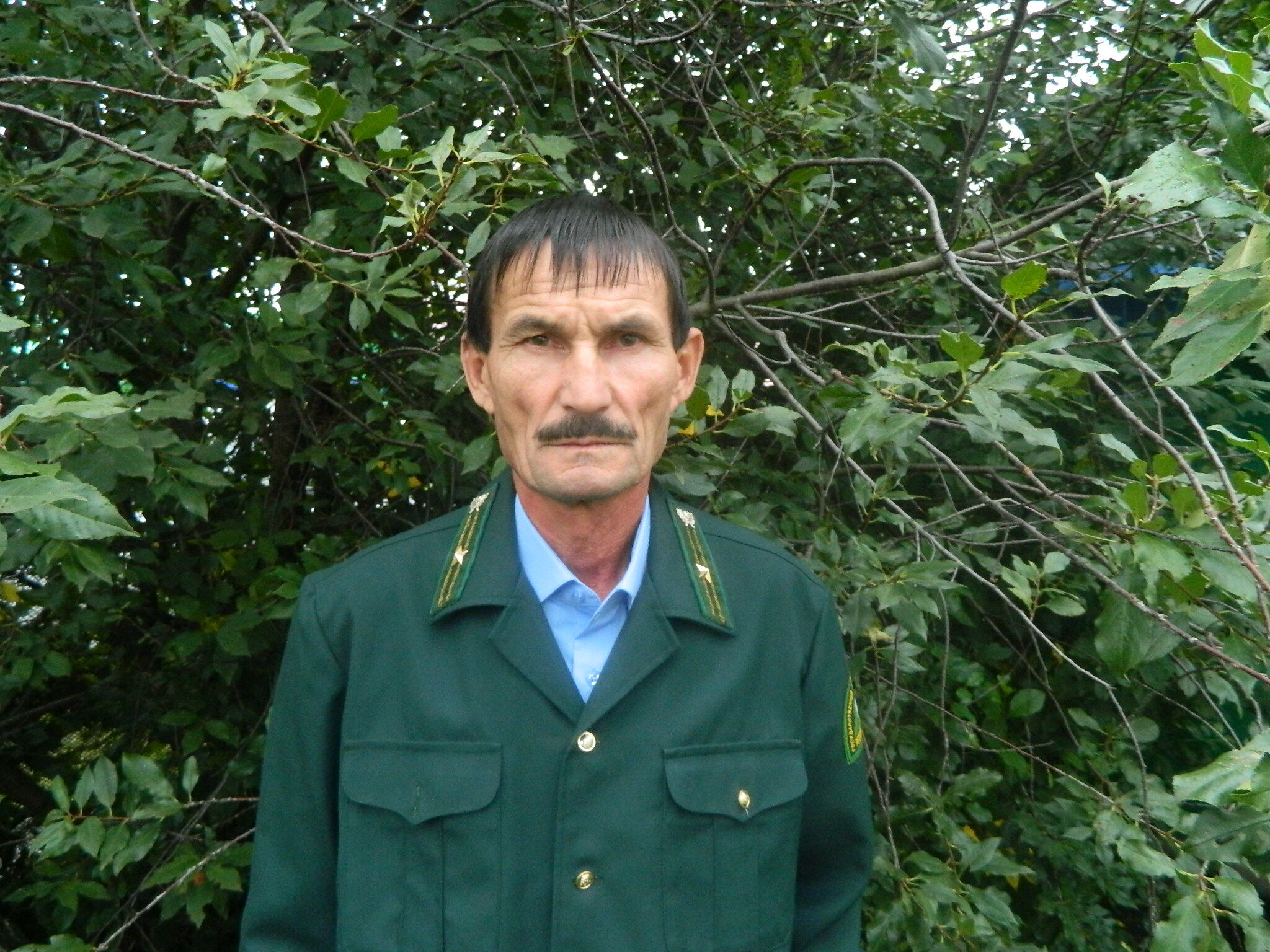 Шумят леса под чутким присмотром