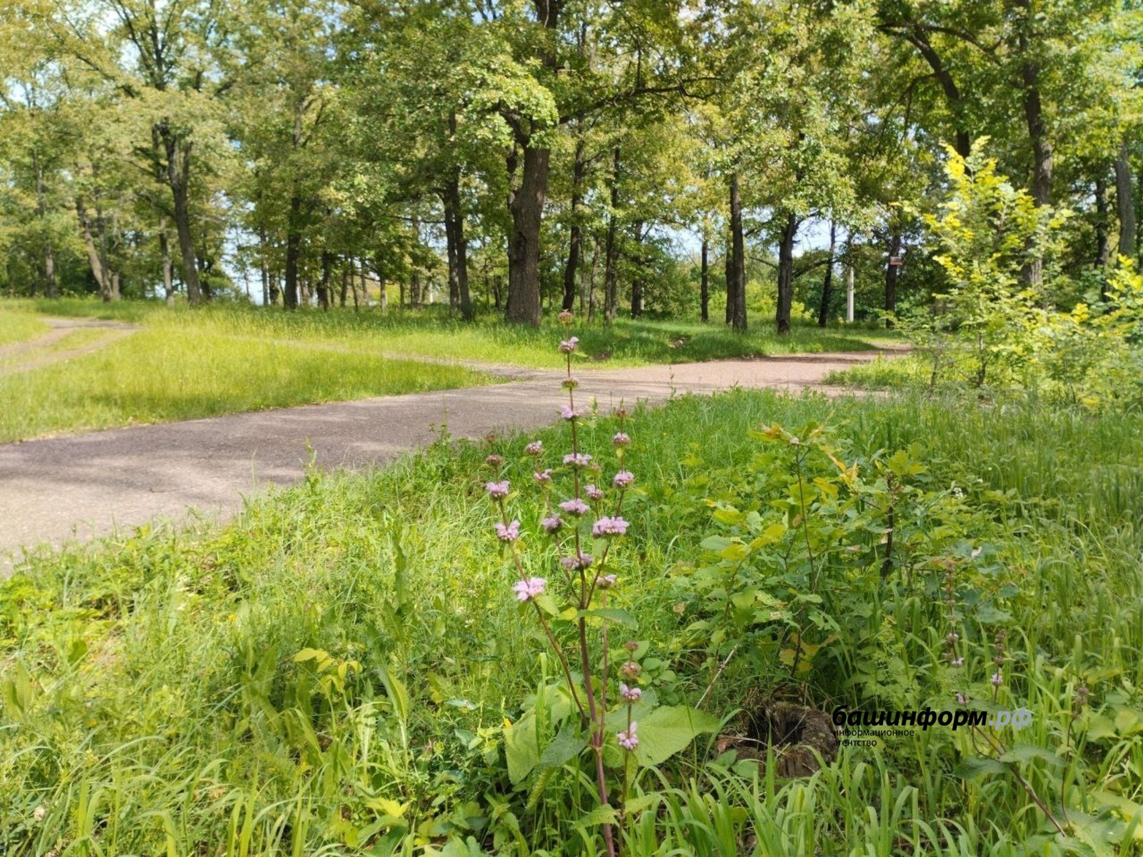 В Башкирии льготникам дадут право находить для себя земельные участки