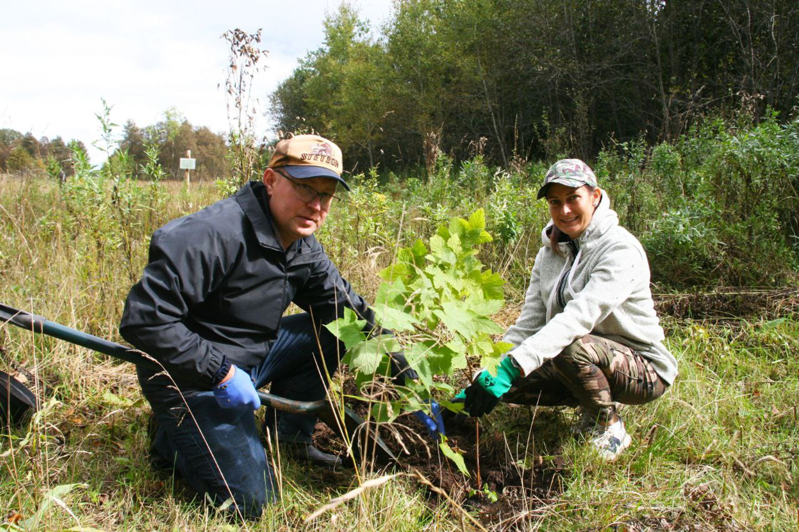 Башкирские ученые запустили уникальный проект «Нектарный лес»