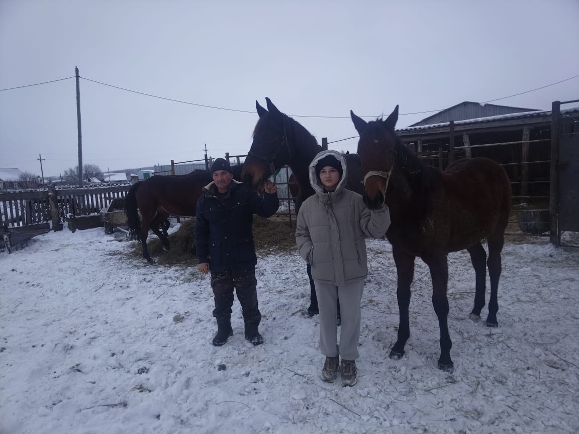 Конное дело Гатиятуллиных