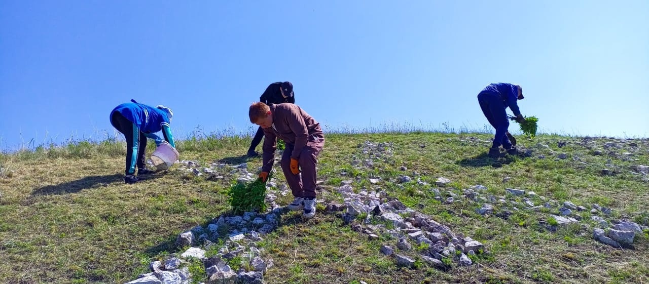 Учащиеся и сотрудники школы Бижбулякского района обновили надпись на горе