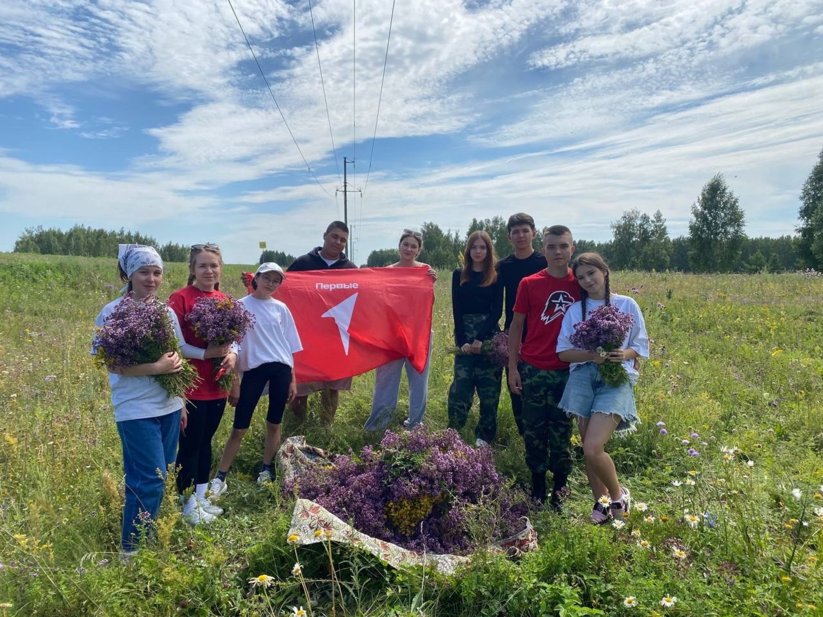Участники Движения Первых собрали травы для бойцов СВО