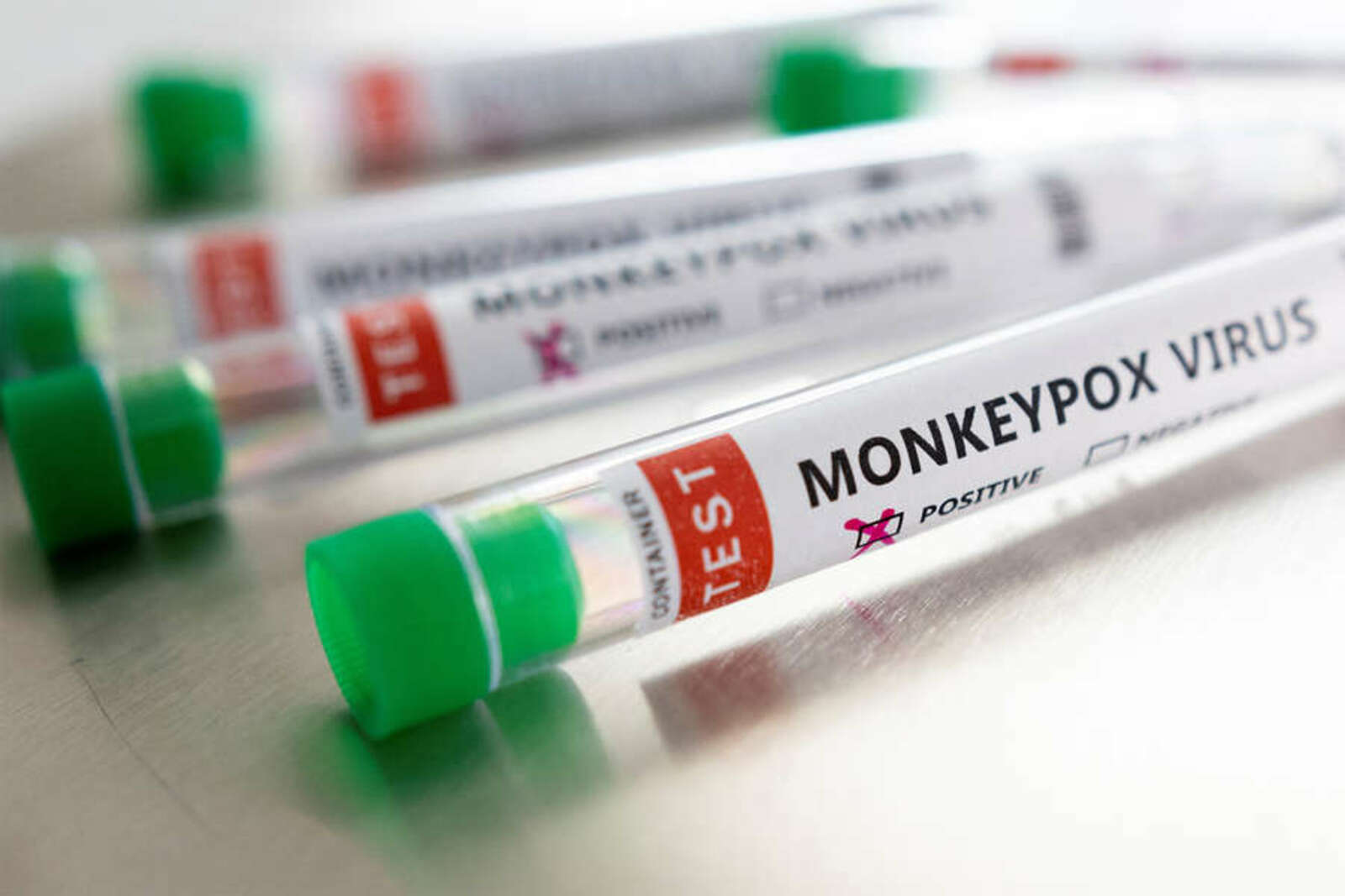 Вирусолог Волчков: вспышку оспы обезьян стоит признать пандемией