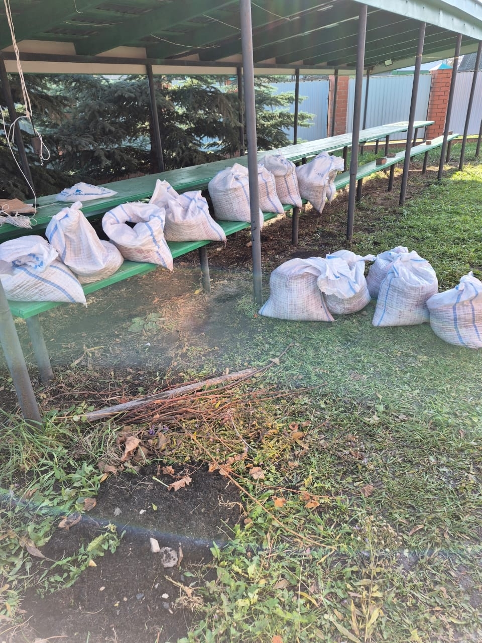 Собрали рябину