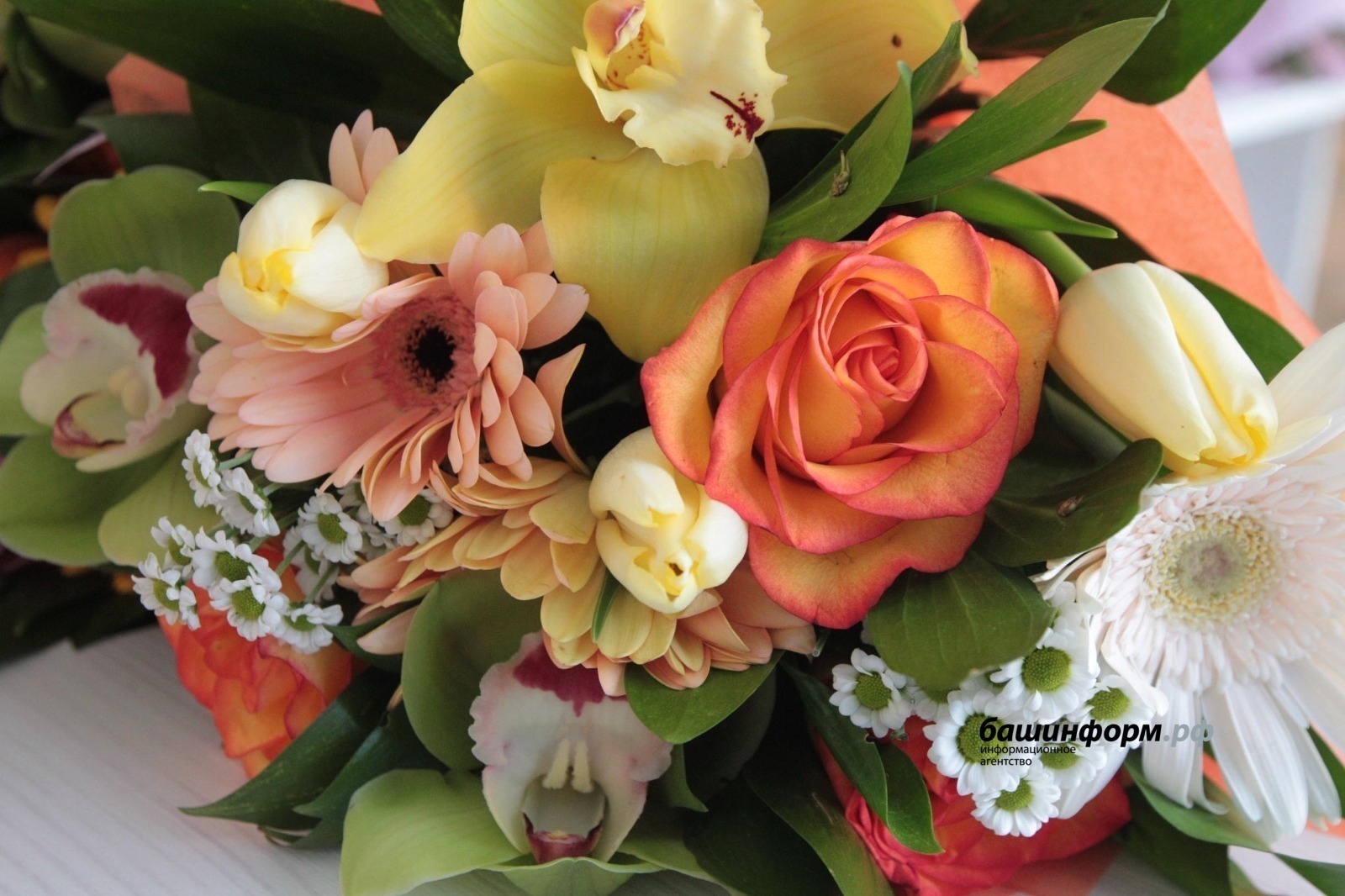 Четыре семьи из Башкирии наградят медалью «Родительская доблесть»