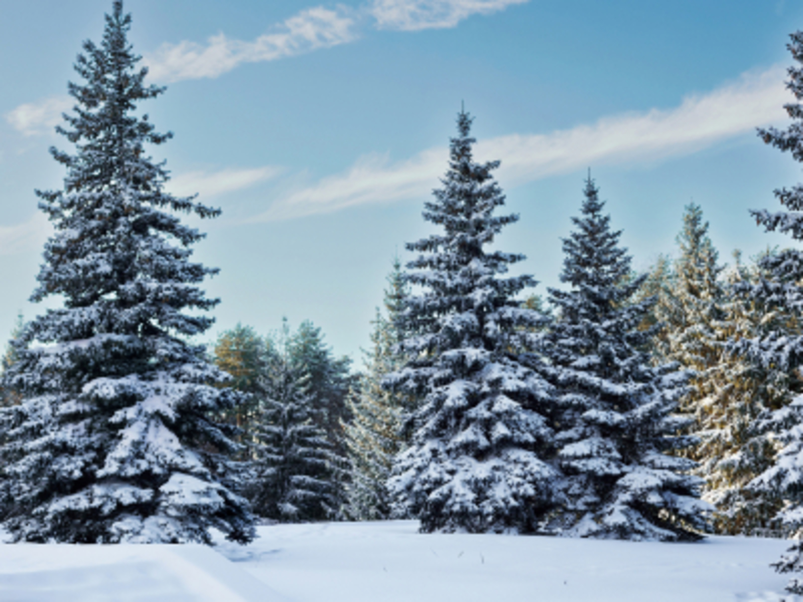 В Башкирии ожидается снег