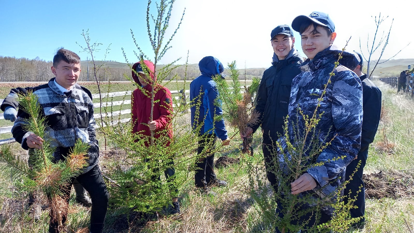 Юные лесоводы Башкортостана высадили более 5 тысяч деревьев и кустарников в рамках акции «Сад памяти»