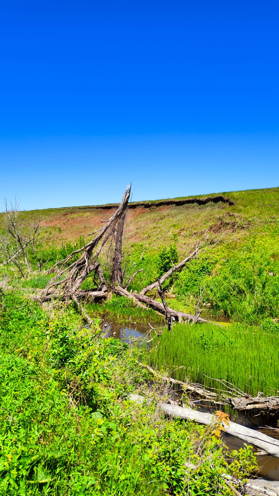В Башкирии пропали четыре человека