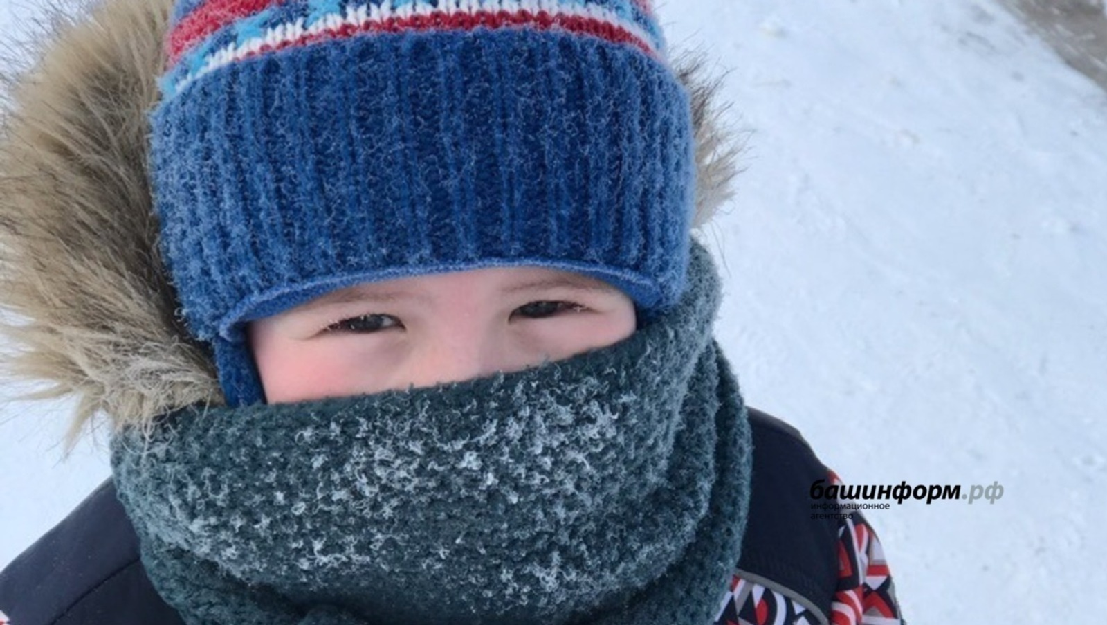 При каких температурах могут отменить уроки в школе