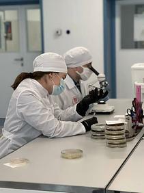 В Межвузовском кампусе создали тест для поиска «бактерии стройности» у человека