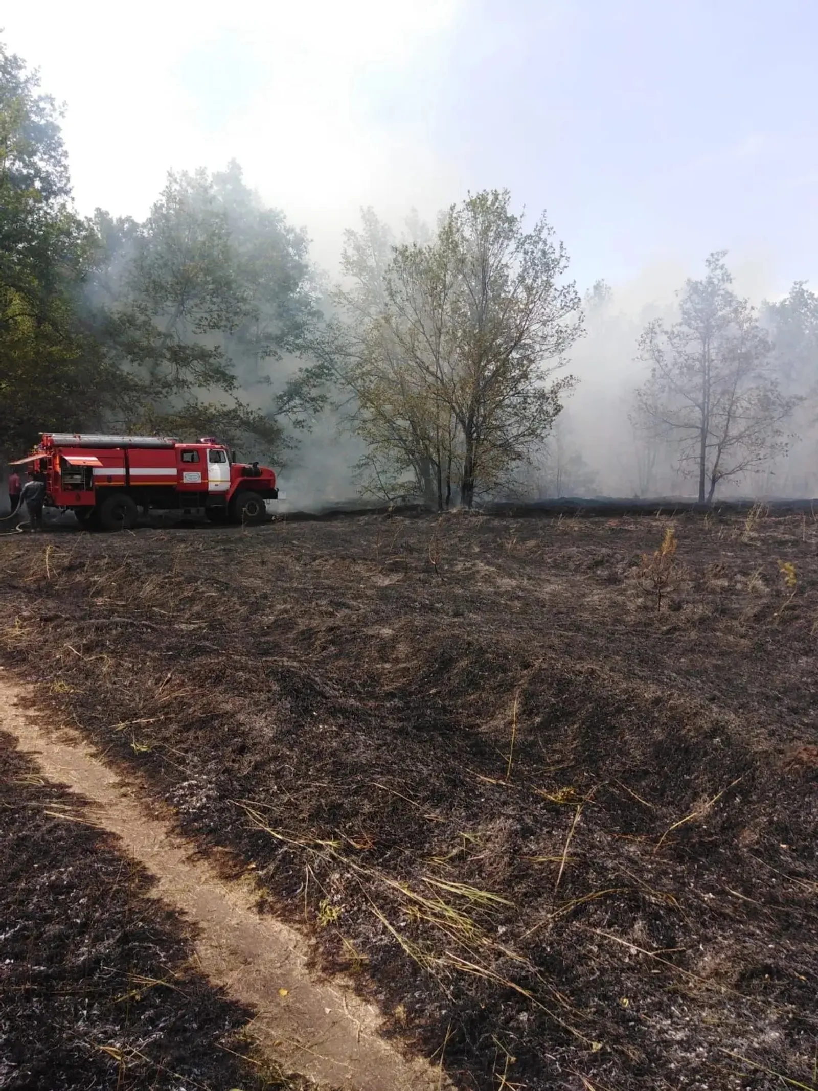 В лесном фонде Башкирии открыли пожароопасный сезон