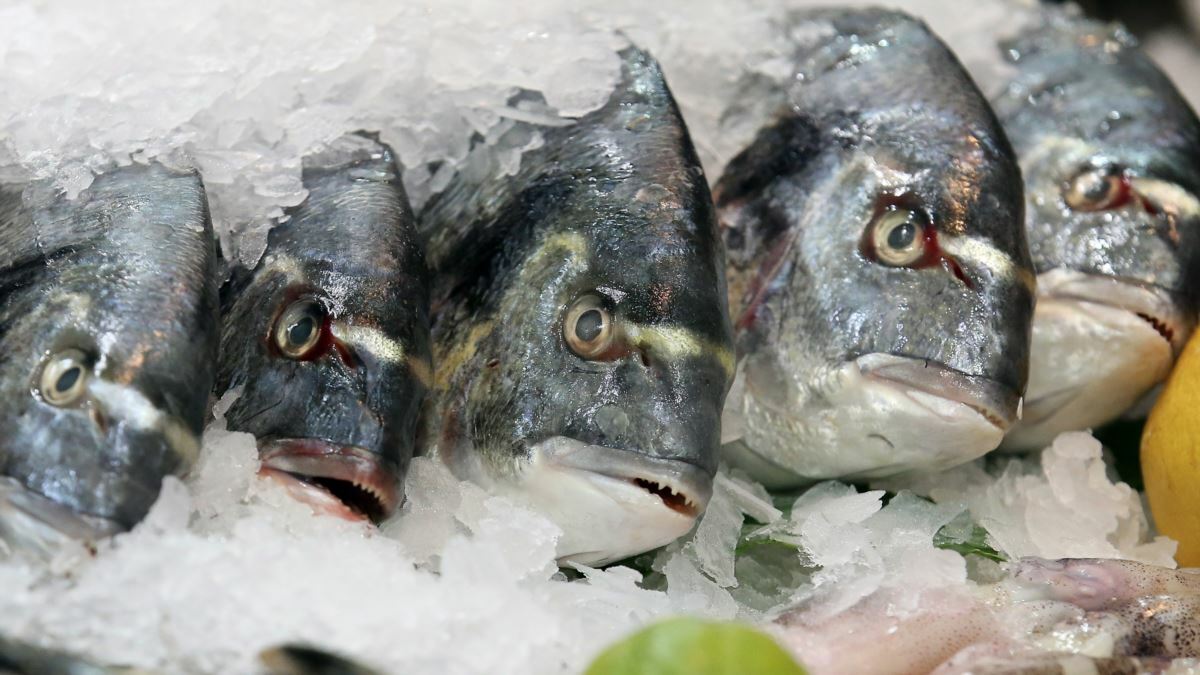 Соблюдайте правила обработки рыбы и рыбной продукции