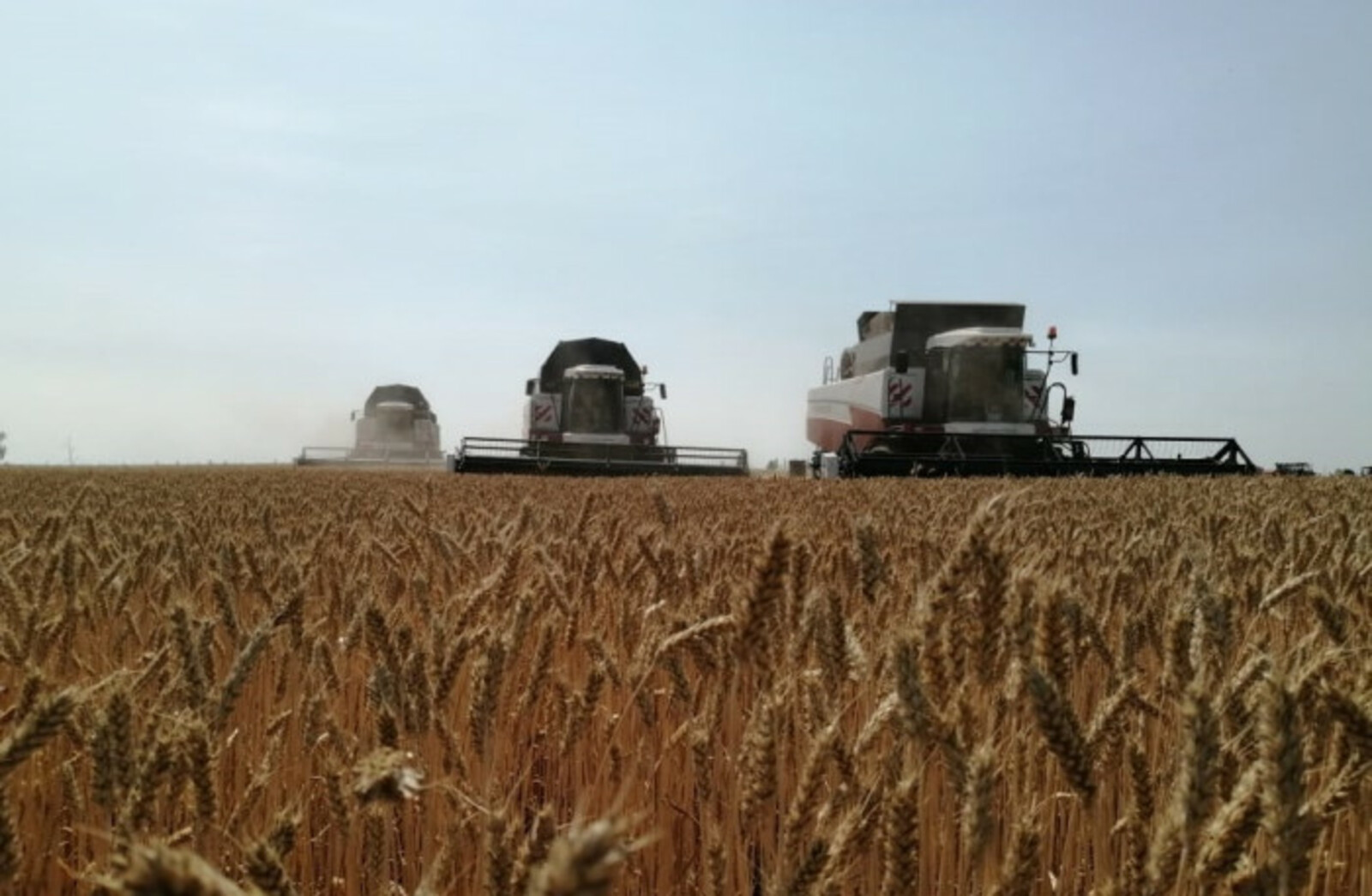 К предстоящей жатве в Башкирии подготовлено 3800 зерноуборочных комбайнов