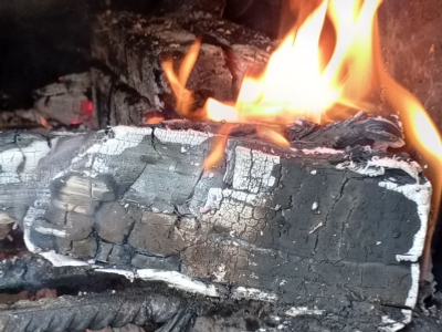 В Башкирии за девять месяцев при пожарах погибли 153 человека