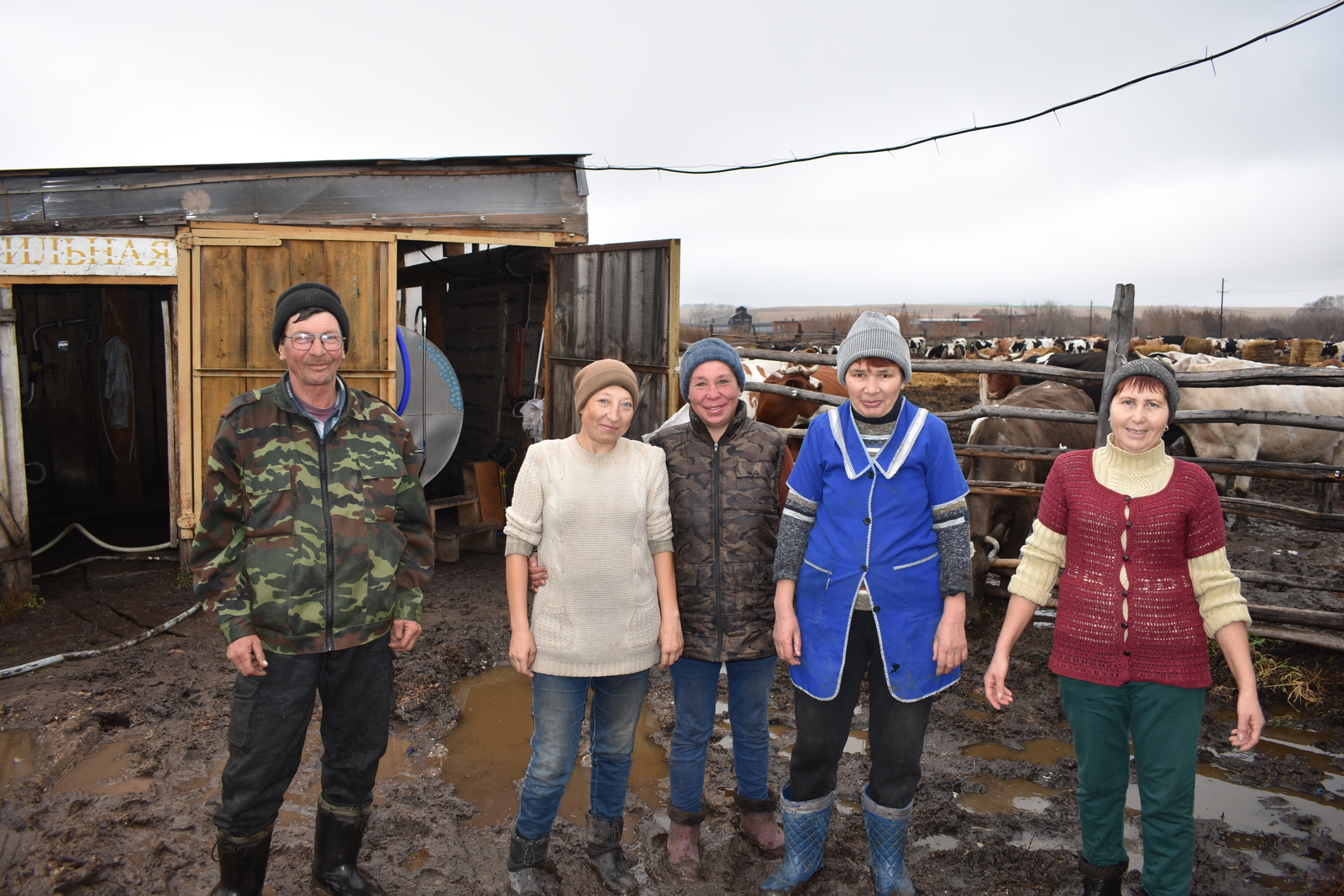 В ООО «Марс» уделяют должное внимание содержанию крупного рогатого скота