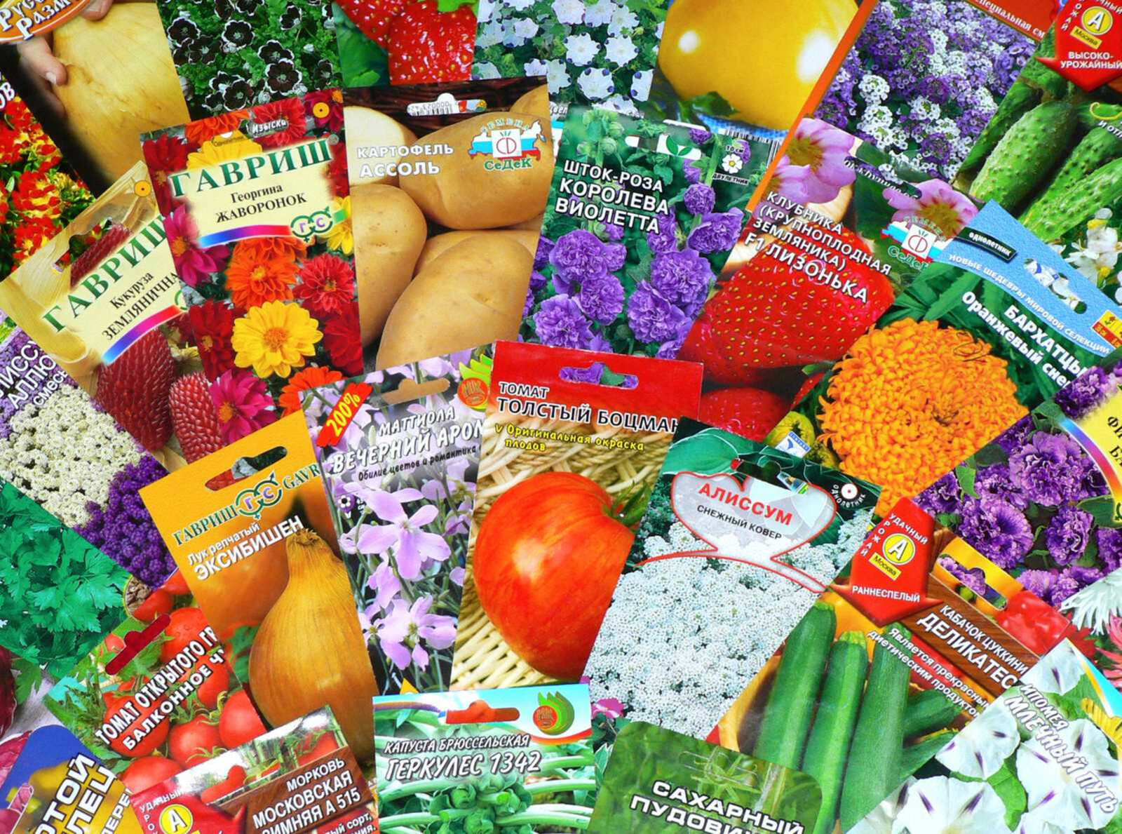 Россиянам рассказали, как не нарваться на подделку при покупке семян