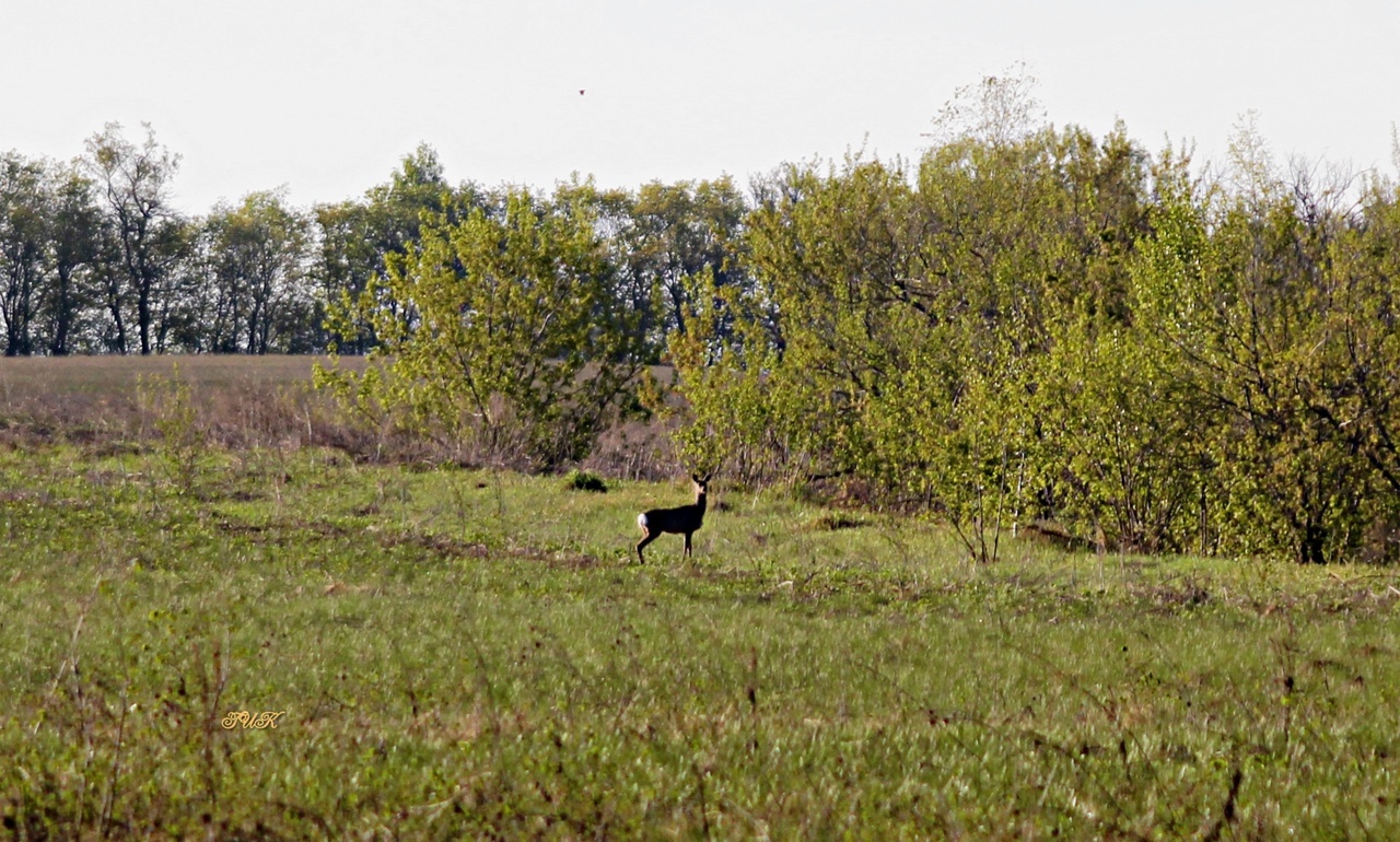 Куда поехать отдыхать? В Башкортостан!