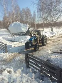 Лесоводы Башкирии готовят саженцы к весенней посадке