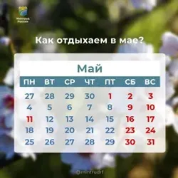Новая рабочая неделя в Башкирии будет короткой