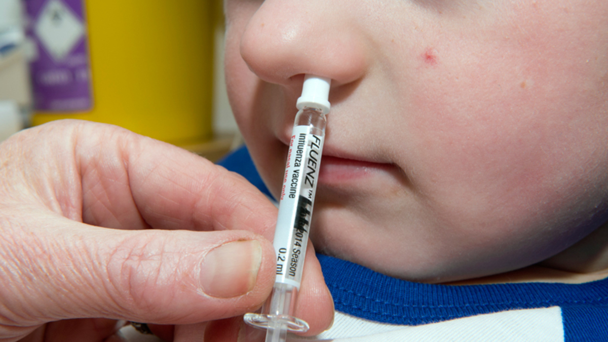 Гинцбург: после назальной вакцины иммунитет к коронавирусу может сохраняться полгода.