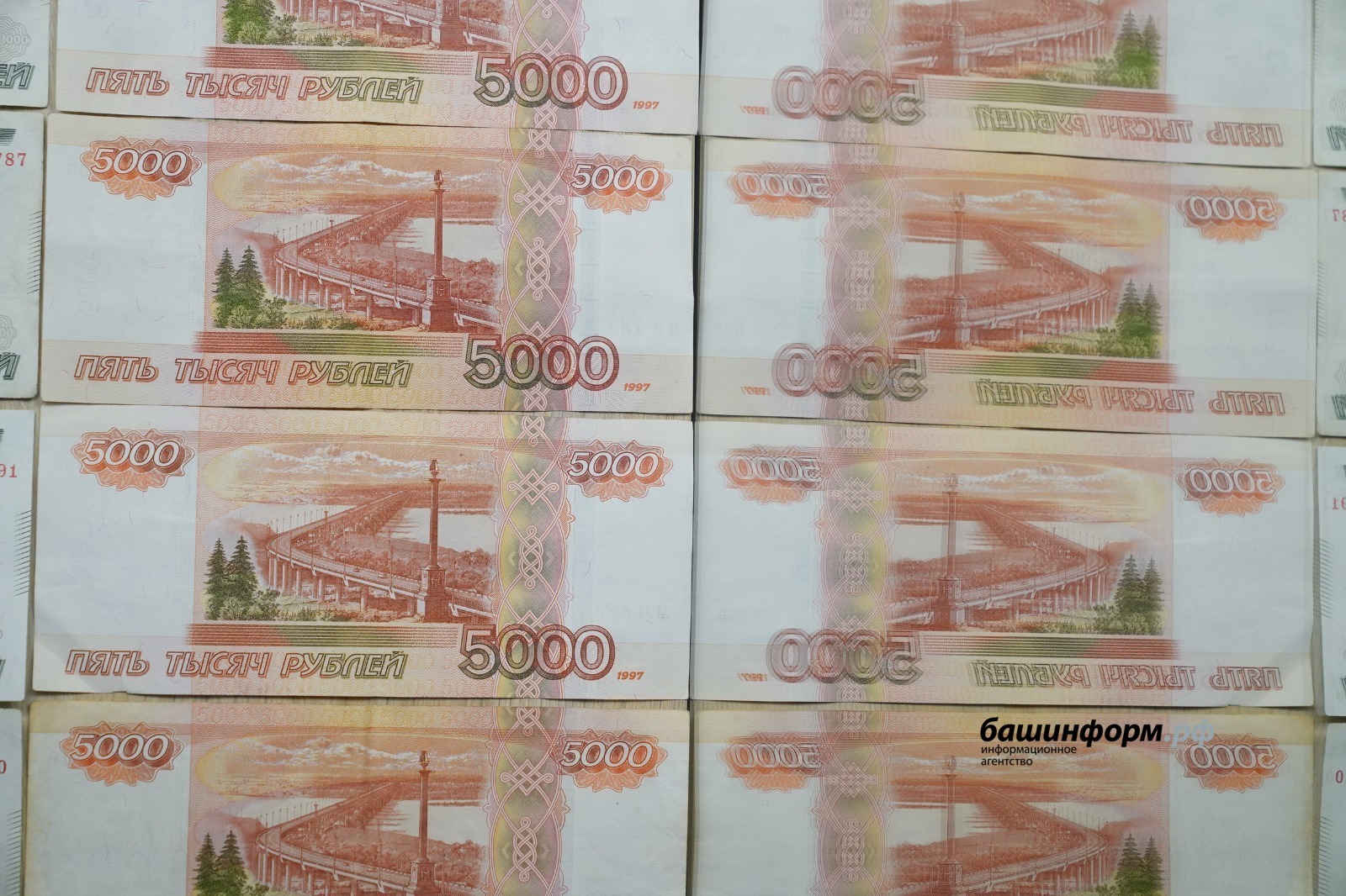 На поддержку программ предпринимательства в муниципалитетах Башкирии выделят 100 миллионов рублей