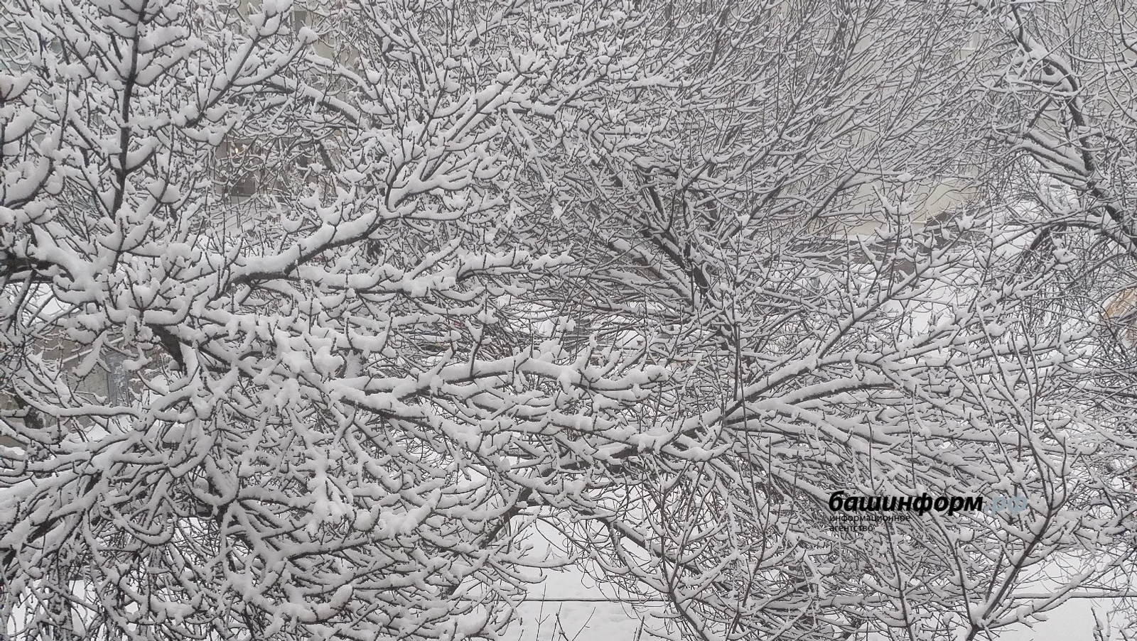 В Башкирии прогнозируется ухудшение погодных условий