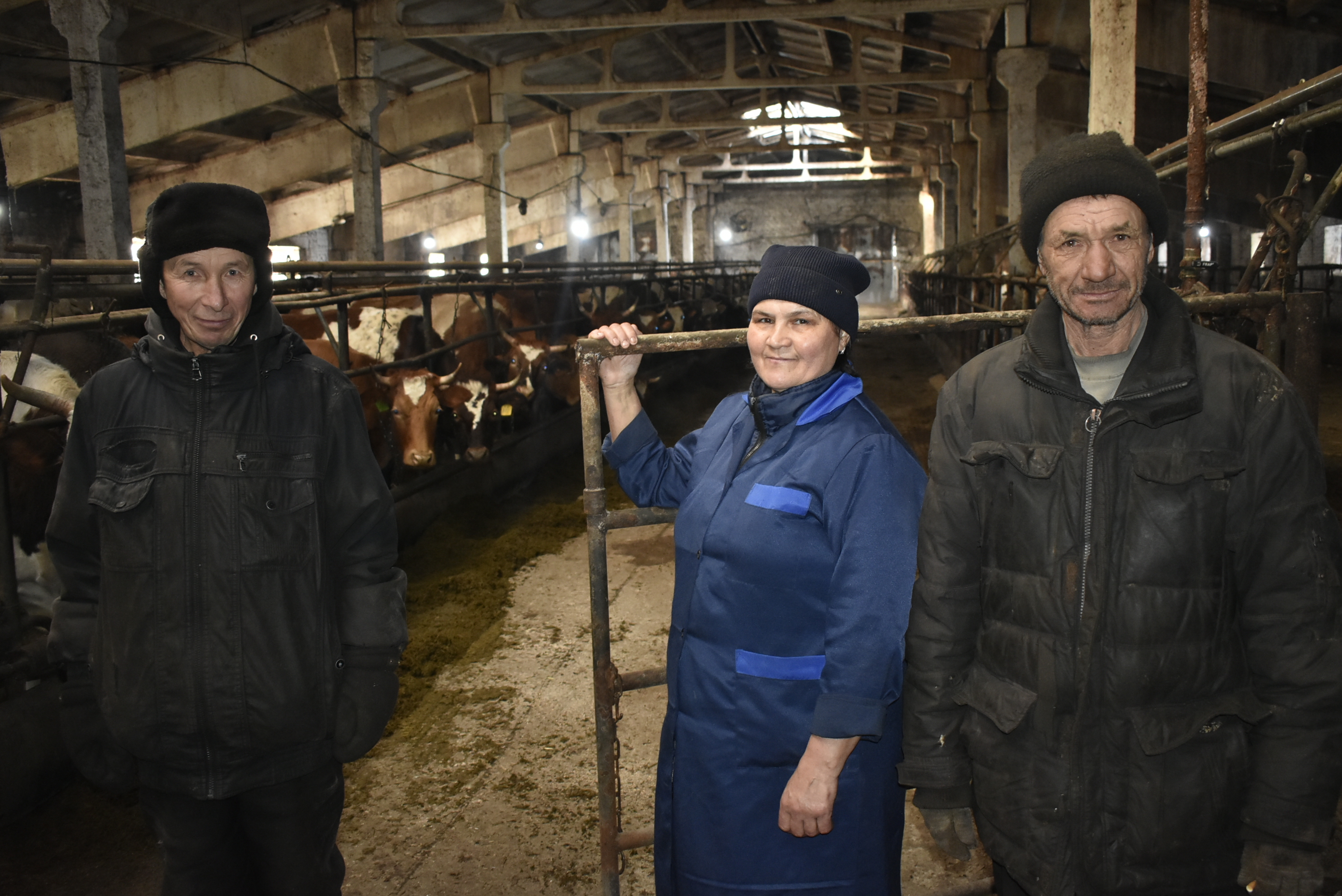 Обеспечивают сытую зимовку скота