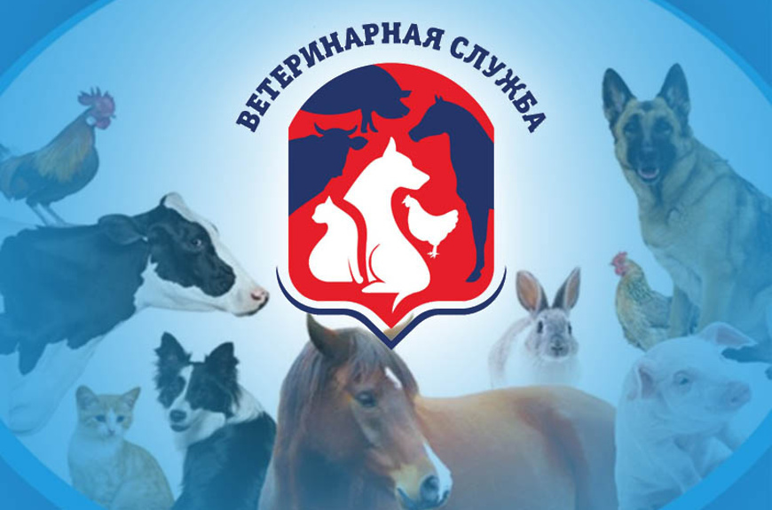 Жителям Бижбулякского района напоминают порядок действий при захоронении домашних животных