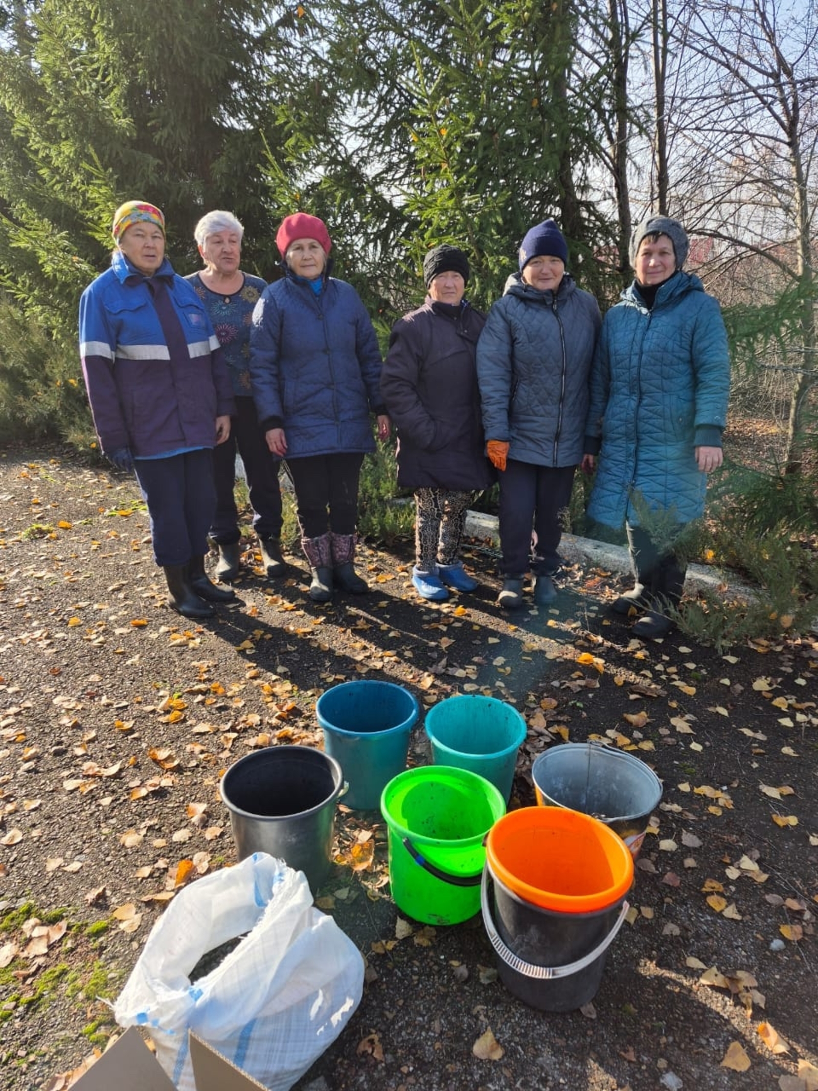 Собрали рябину