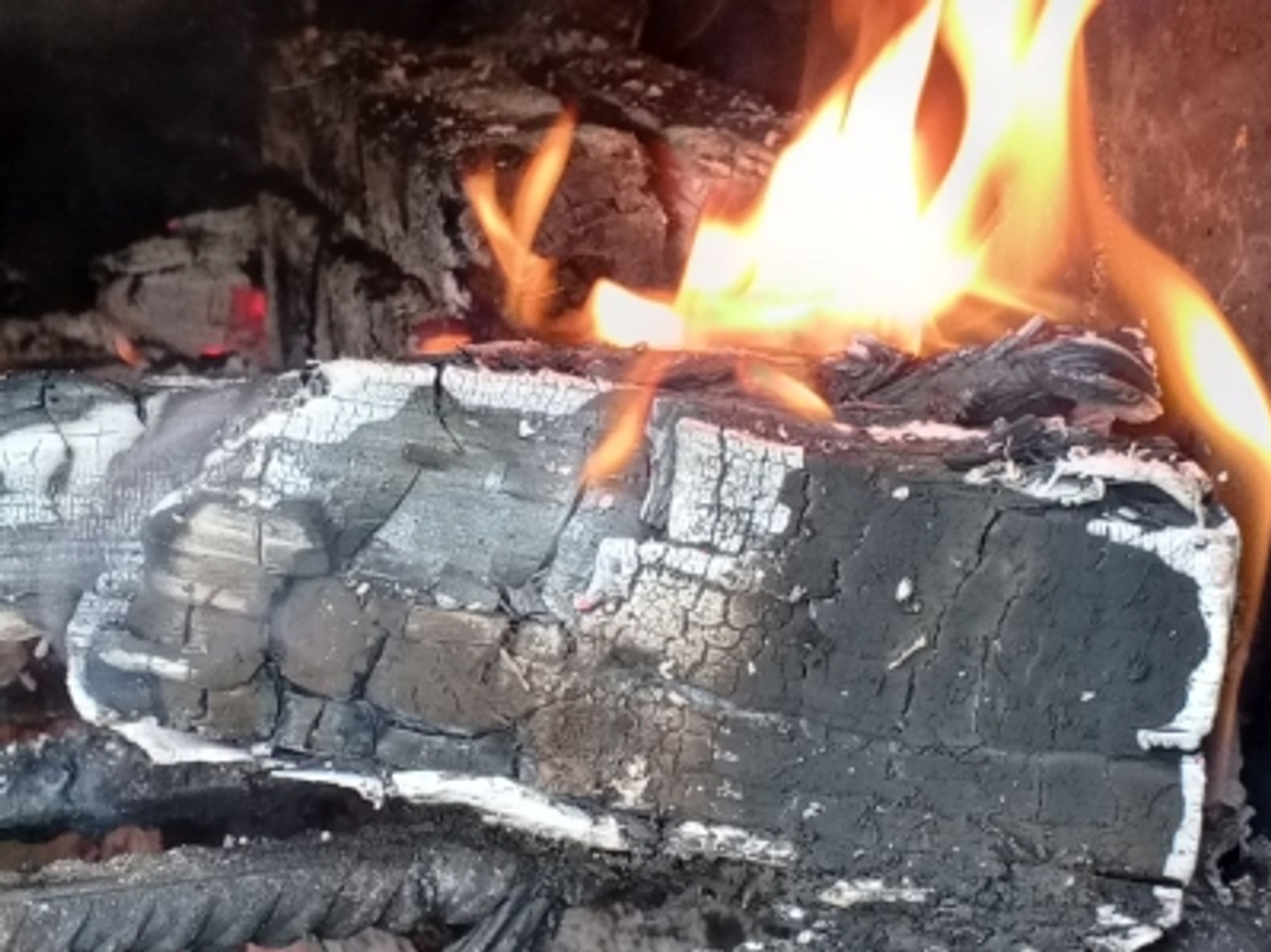 В Башкирии за девять месяцев при пожарах погибли 153 человека