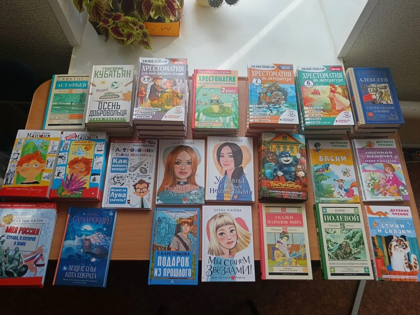 Центральная библиотека Бижбуляка пополнила свои фонды новыми книгами